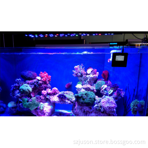 AQL Light 250w 4ft sunrise and sunset wifi wired controller led aquarium light for marine use